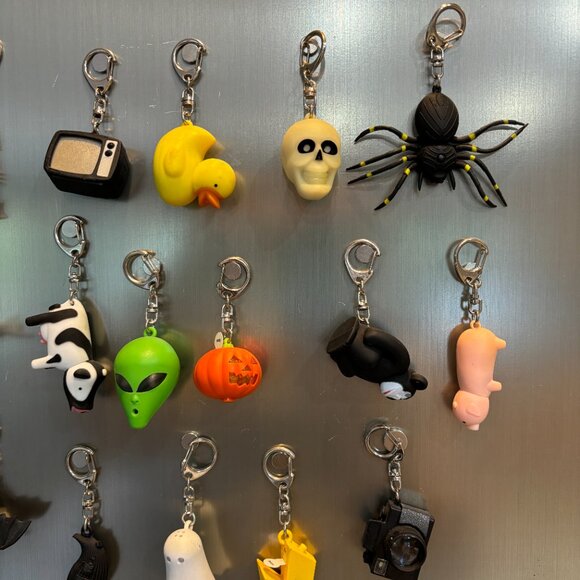 19 keychains - selling all together for one price. - Picture 6 of 7